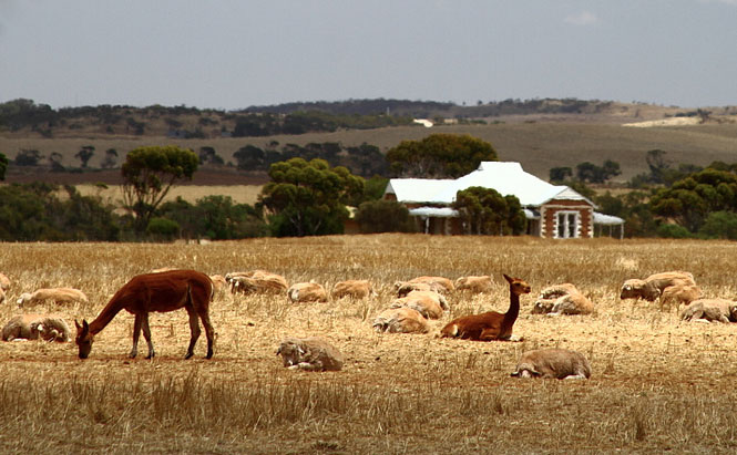 Photo by eyrephotographyaustralia on Flickr