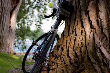 Bicycle in Iowa, 2010
