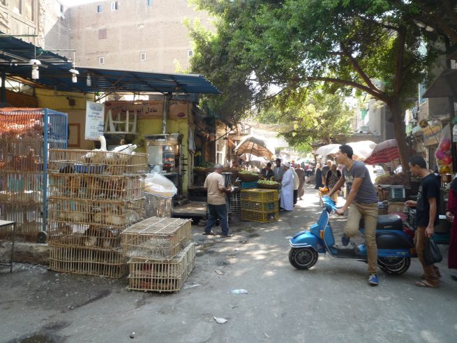 Busy street life in Cairo © Christian Horn 2012