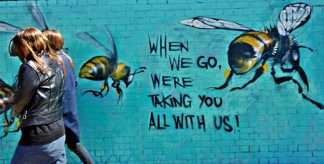 Pro honeybee streetart propaganda in the UK. Photo courtesy of stealmag.com 